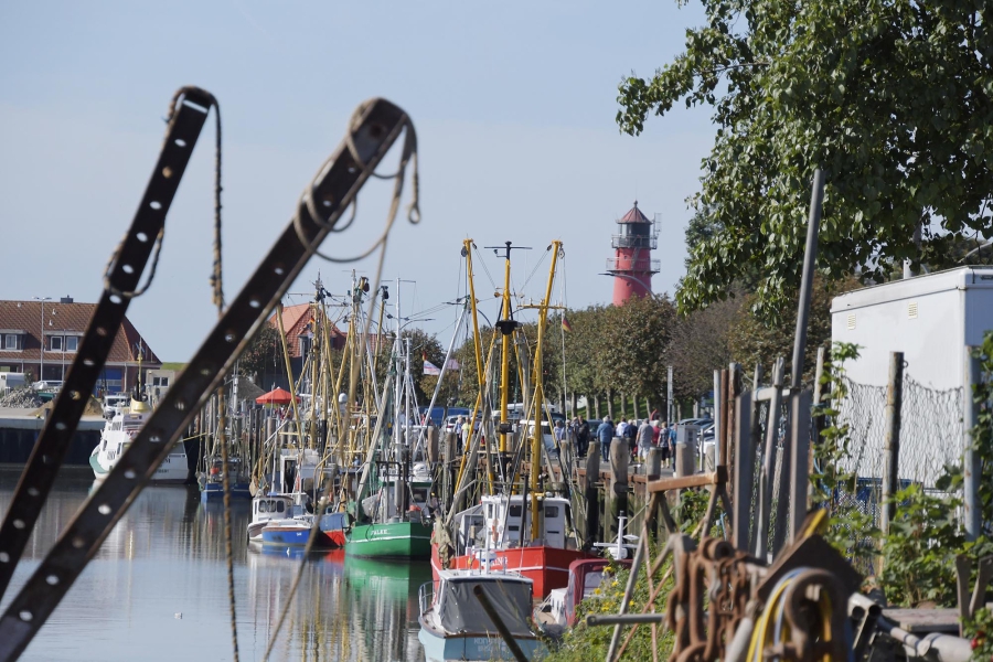 Büsum Hafen